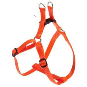 Ferplast Easy P Harness[Color - Orange, Dimension - 33-46.5cm x 10mm]