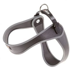 Ferplast AGILA FLUO Harness[Color - Black, Dimension - 42-50 x 42-50cm]