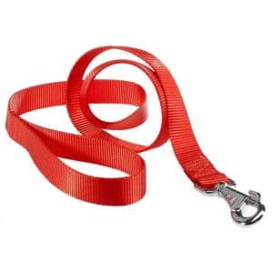 Ferplast Club G Nylon Dog Leash[Color - Red, Dimension - 15mm x L 120cm]