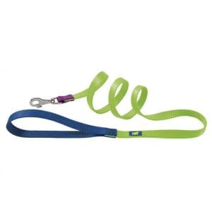 Ferplast Club Colours G Nylon Dog Leash[Color - Green, Dimension - 20mm x L 120cm]
