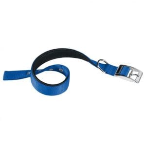 Ferplast Daytona C Nylon Dog Collar[Color - Blue, Dimension - 47-55cm x 30mm]