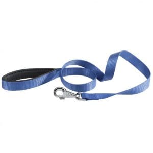 Ferplast Daytona G Nylon Dog Leash[Color - Blue, Dimension - 15mm x L 120cm]