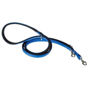 Ferplast Daytona GA Nylon Dog Leash[Color - Blue, Dimension - 20mm x L 200cm]