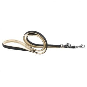 Ferplast Daytona GA Nylon Dog Leash[Color - Brown, Dimension - 20mm x L 200cm]