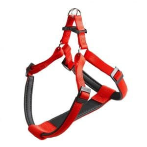 Ferplast Daytona P Nylon Harness[Color - Maroon, Dimension - 42-48cm x 10mm - 43-52cm x 15mm, Size - S]