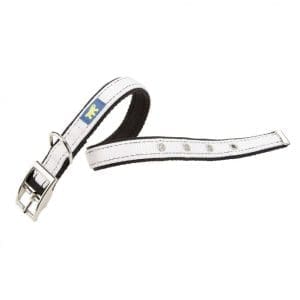 Ferplast DUAL CF15 / 35 COLORS Dog Collar[Color - White, Dimension - 35-43cm x 20mm]