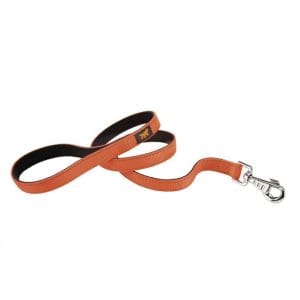 Ferplast DUAL G COLORS Nylon Dog Leash[Color - Orange, Dimension - 15mm x L 110cm]