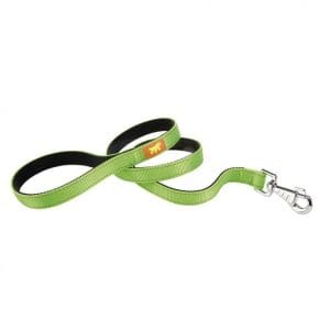 Ferplast DUAL G COLORS Nylon Dog Leash[Color - Green, Dimension - 20mm x L 110cm]