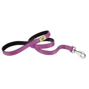 Ferplast DUAL G COLORS Nylon Dog Leash[Color - Purple, Dimension - 15mm x L 110cm]