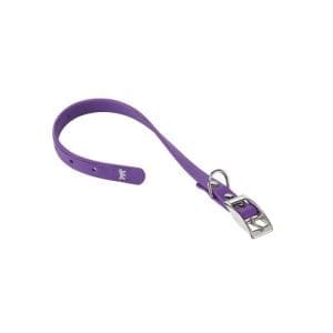 Ferplast Ergoflex CF Techno - rubber Dog Collar[Color - Purple, Dimension - 37-45cm x 24mm]