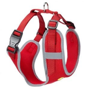 Ferplast Nikita PM Technical Harness In Breathable Nylon[Color - Maroon, Dimension - 19-26 x 28-40cm x 10mm, Size - XS]