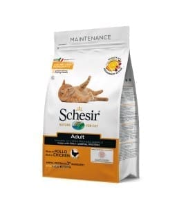 493-home_default.jpg Schesir Cat Dry Food Maintenance with Chicken-Adult - Image 1