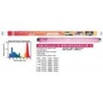 KW Zone Bio Lux Lamp