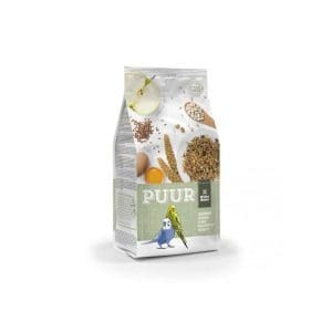 Witte Molen Puur Budgie