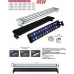 Dophin LED Light