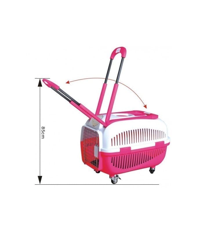 6742-large_default Dayang Pet Carrier (091) – 58 X 37 X 43.5Cm (4Pcs/Box ) - Image 1