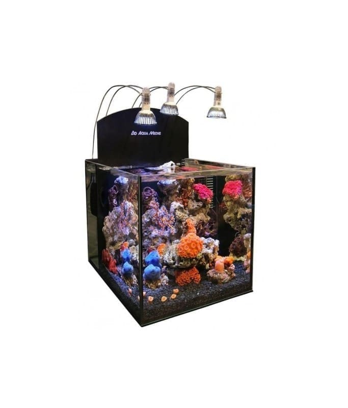 7904-large_default Aqua Medic Yasha Marine Aquarium 33.5L (30 X 40 X 30Cm) - Image 1