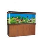 Boyu Elegance Aquarium + Cabinet [EA-Series]1000x400x560mm