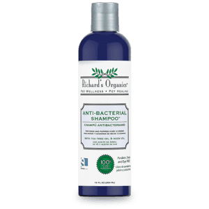 Synergy Lab Anti-Bacterial Shampoo[Volume - 354Ml]