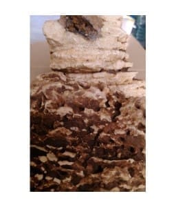 9633-home_default.jpg Indian Stone Aquarium Pebbles - Stones - Rocks - Gravel - Rock - 01 - 25 KG - Image 1