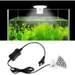 Roxin LED Top Light -White
