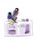 Witte Molen Puur Tropical Bird - Image 3