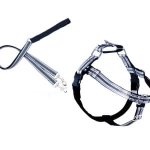 FREEDOM NO-PULL HARNESS AND LEASH-REFLECTIVE
