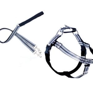 FREEDOM NO-PULL HARNESS AND LEASH-REFLECTIVE - Large