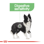 Canine Care Nutrition - Medium Digestive Care 12 KG - Image 3