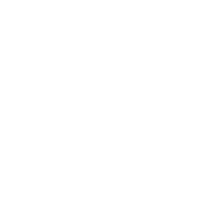 VanPet Bird Toy Natural And Clean - 27x12 cm