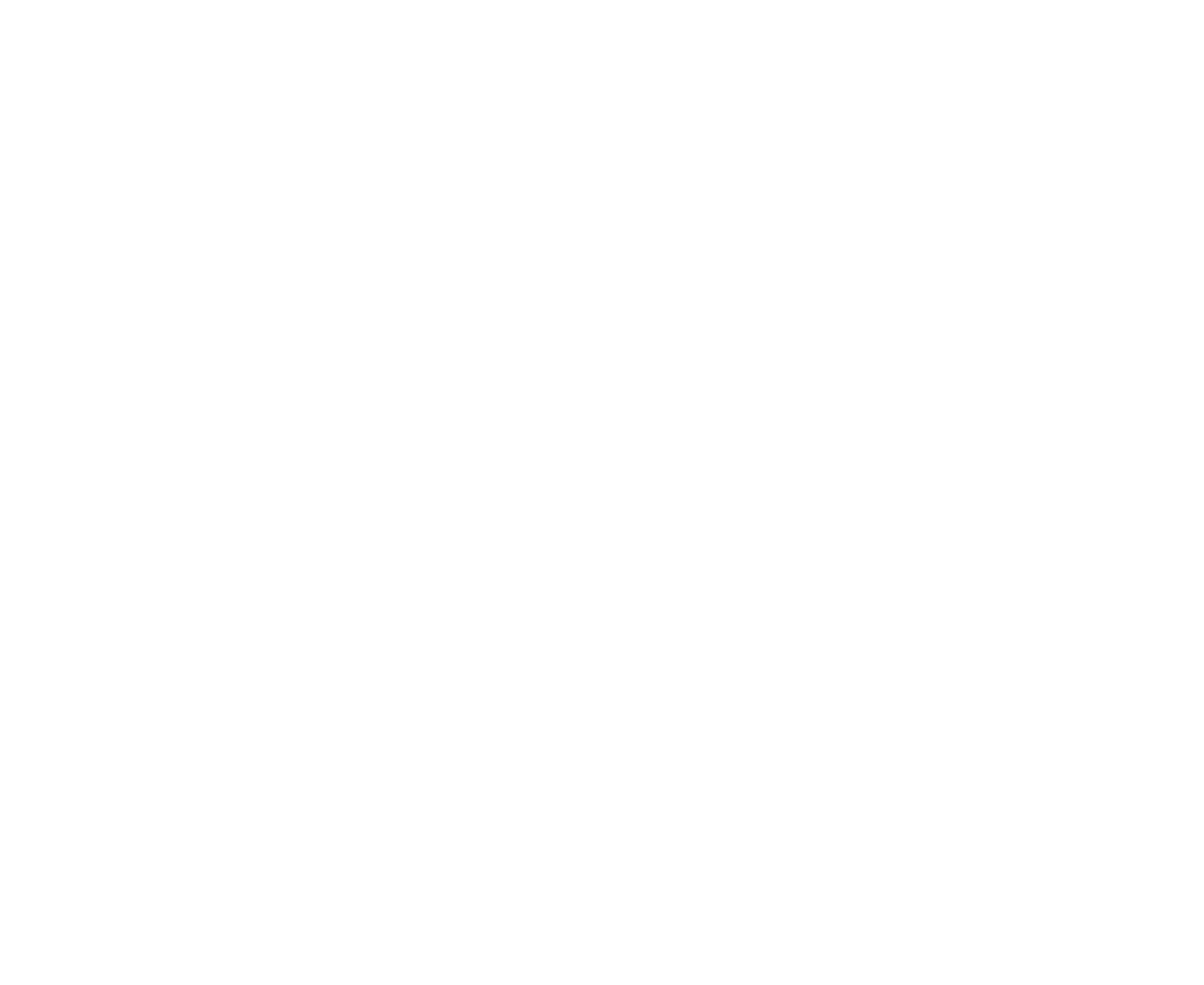 VanPet Bird Toy Natural And Clean - 27x12 cm