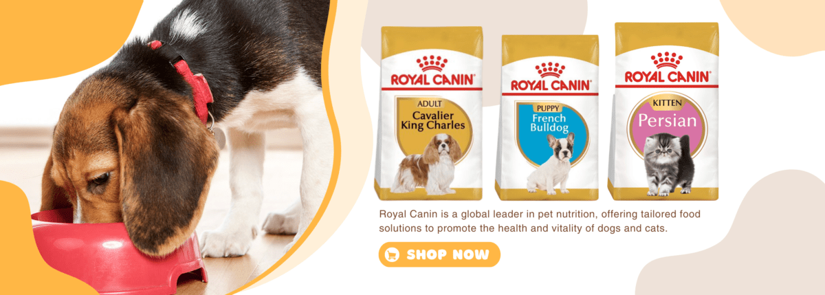 Petszee pet food in Dubai - the best pet products store in UAE