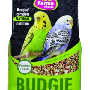 Budgie Mix