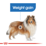 CANINE CARE NUTRITION - Maxi Light Weight Care 12 KG - Image 2
