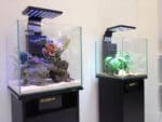Dymax Crystal Clear Cube Tank - Image 2