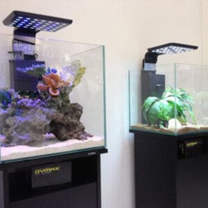Dymax Crystal Clear Cube Tank - 46 cm