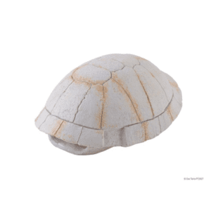 Exo Terra - Exo Terra Tortoise Shell