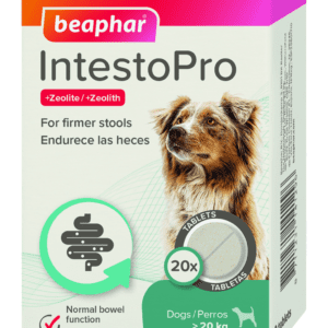 IntestoPro Anti Diarrhea Tablet - Large Dog