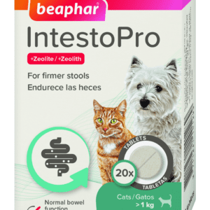 IntestoPro Anti Diarrhea Tablet