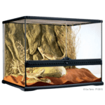 Natural Terrarium - Image 5