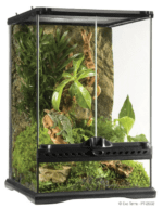 Natural Terrarium - Image 3