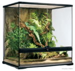 Natural Terrarium - Image 4