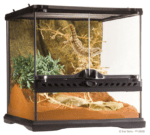 Natural Terrarium