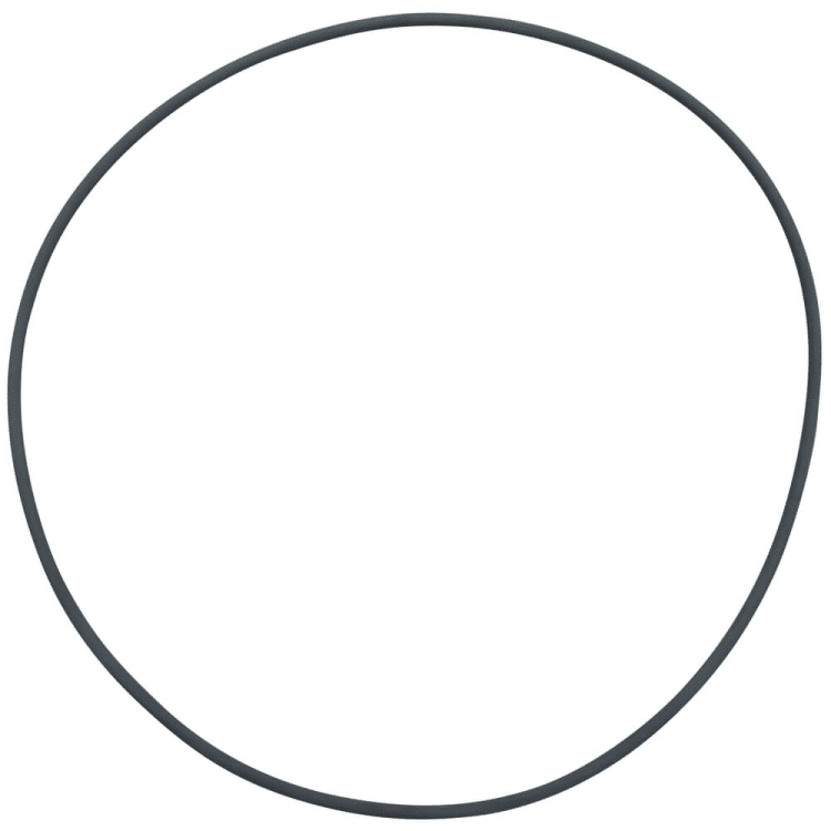 O-Ring Filter Lid for FX4-FX6 Canister Filter O-Ring Filter Lid For Fx4/Fx6 Canister Filter - Image 1