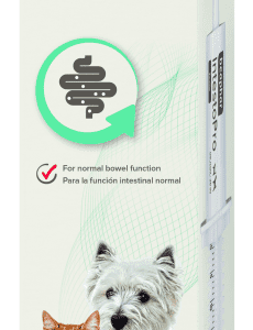 IntestoPro Anti Diarrhea Paste Syringe - Small Dog & Cat