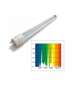 Boyu Aquarium - Image 2