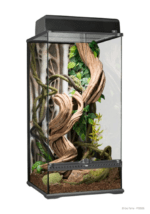 Natural Terrarium - Image 6