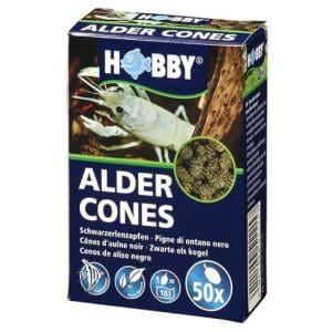 Alder Cones 50 Pcs