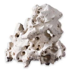 Cavity Rock - Cavity Rock - Asian L 2 to 3.5 KG