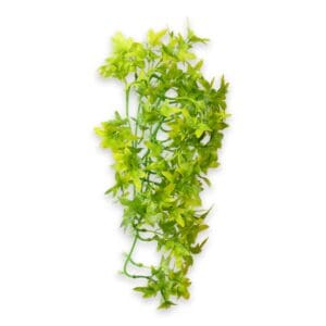 Climber - Climber Ivy 37 cm